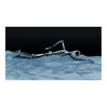 X-Ray Skeleton Swimming in Lake Neg Blue Poster