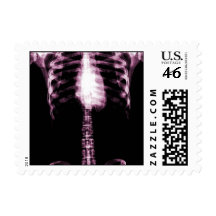 X-RAY SKELETON TORSO RIBS - PINK STAMPS