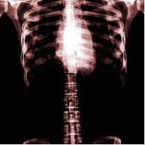 X-RAY SKELETON TORSO RIBS - RED PHOTO CUT OUTS