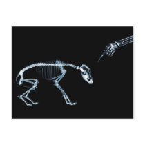 X-Ray Skeletons Bad Dog Blue Postcard