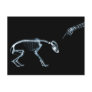 X-Ray Skeletons Bad Dog Blue Postcard