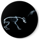 X-Ray Skeletons Blue Bad Dog Button