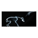 X-Ray Skeletons Blue Bad Dog Invites