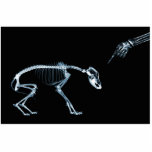 X-Ray Skeletons Blue Bad Dog Acrylic Cut Out
