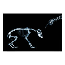 X-Ray Skeletons Blue Bad Dog posters