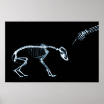 X-Ray Skeletons Blue Bad Dog Posters