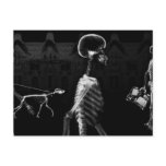 X-Ray Skeletons Midnight Stroll Black White Postcards