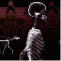 X-Ray Skeletons Midnight Stroll photo sculptures by VoXeeD X-Ray Skeletons Midnight Stroll photo sculptures