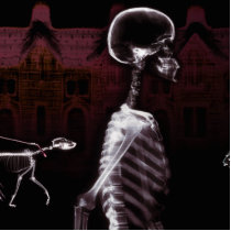 X-Ray Skeletons Midnight Stroll photo sculptures