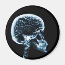 X-RAY SKULL BRAIN - BLUE MAGNET