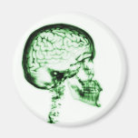 X-RAY SKULL BRAIN - GREEN FRIDGE MAGNET