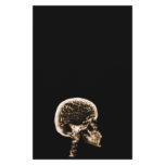 X-RAY SKULL BRAIN - ORANGE STATIONERY PAPER