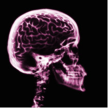 X-RAY SKULL BRAIN - PINK CUT OUT