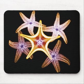 X-ray Starfishery - Mousepad mousepad