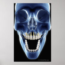 X-ray style look at human teeth