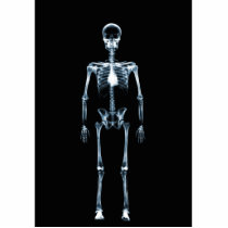 X-Ray Vision Blue Single Skeleton photo sculptures by VoXeeD X-Ray Vision Blue Single Skeleton photo sculptures