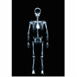 X-Ray Vision Blue Single Skeleton Photo Sculptures