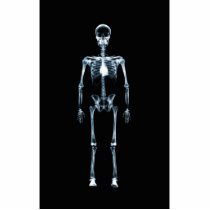 X-Ray Vision Blue Single Skeleton photo sculptures by VoXeeD X-Ray Vision Blue Single Skeleton photo sculptures