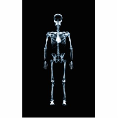 X-Ray Vision Blue Single Skeleton Photo Sculptures by VoXeeD