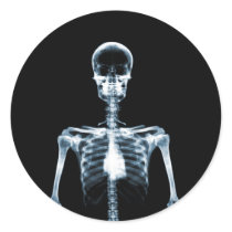 X-Ray Vision Blue Single Skeleton Stickers