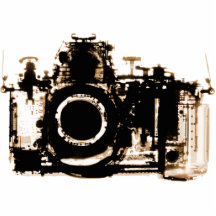 X-RAY VISION CAMERA - SEPIA PHOTO SCULPTURE
