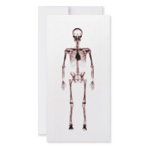 X-Ray Vision Single Skeleton White Red Photo Greeting Card