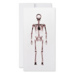 X-Ray Vision Single Skeleton White Red Photo Greeting Card