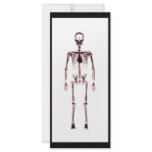 X-Ray Vision Single Skeleton White Red Rack Card Template