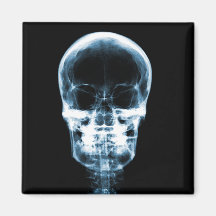 X-RAY VISION SKELETON SKULL - BLUE REFRIGERATOR MAGNET