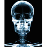 X-RAY VISION SKELETON SKULL - BLUE PHOTO CUTOUT
