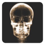 X-RAY VISION SKELETON SKULL - ORANGE SQUARE STICKER