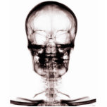 X-RAY VISION SKELETON SKULL - ORIGINAL CUT OUT
