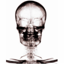X-RAY VISION SKELETON SKULL - ORIGINAL CUT OUT