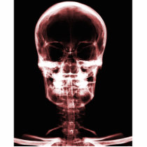 X-RAY VISION SKELETON SKULL - RED PHOTO SCULPTURES