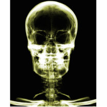 X-RAY VISION SKELETON SKULL - YELLOW PHOTO CUT OUTS