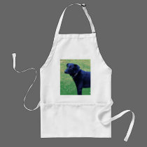 Xander 1 copy aprons