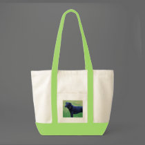 Xander 1 copy bags