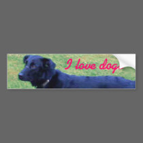 Xander 1 copy bumper stickers