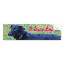 Xander 1 copy bumper stickers by Moondial Xander 1 copy bumper stickers