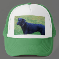 Xander 1 copy hats