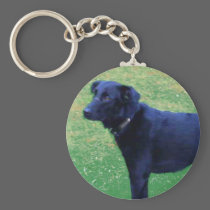 Xander 1 copy keychains