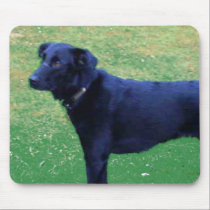 Xander 1 copy mousepads