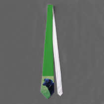 Xander 1 copy ties