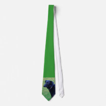 Xander 1 copy ties by Moondial Xander 1 copy ties