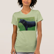 Xander 1 copy t-shirts