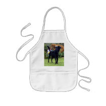 Xander 2 copy aprons