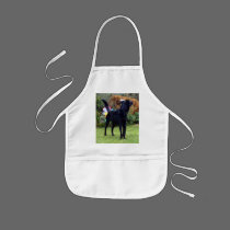 Xander 2 copy aprons
