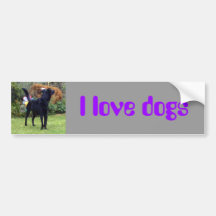Xander 2 copy, I love dogs Bumper Stickers