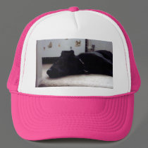 Xander 3 copy hats