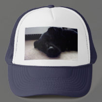Xander 4 copy hats